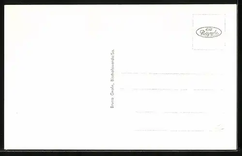 AK Bischofswerda /Sa., Teilansicht mit Kirche