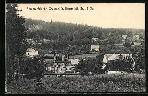 AK Zwiesel i. Sa., Ortspartie mit Waldlandschaft