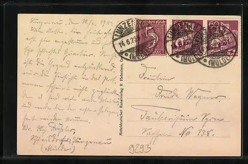 AK Lunzenau a. d. Mulde, Partie an der Mulde, Passepartout