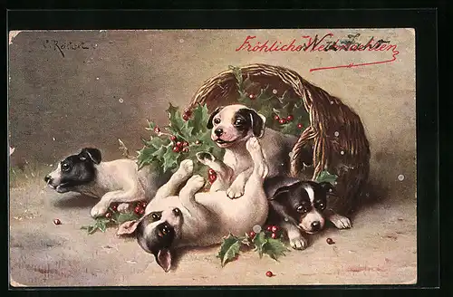 Künstler-AK Carl Reichert: Hundewelpen in Korb mit Stechpalmen - Weihnachtsgruss