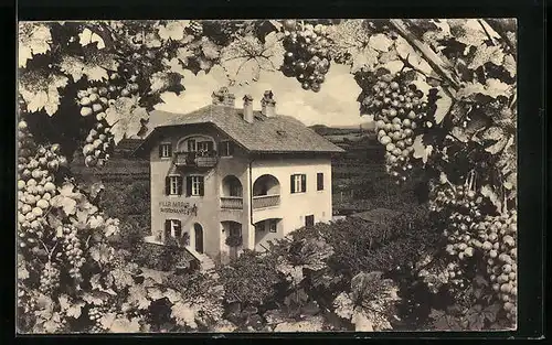 AK San Michele in Appiano, Ristorante e Pensione Villa Maria