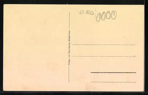 AK Königswinter /Rh., Pension Leven in der Winzerstrasse 2 - Strassenansicht