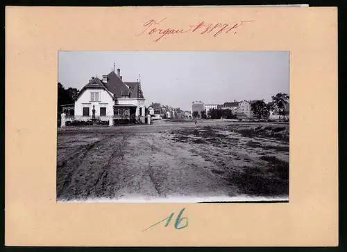 Fotografie Brück & Sohn Meissen, Ansicht Torgau, Blick in die Westringstrasse mit Wohnvillen und Arbeiterhäusern