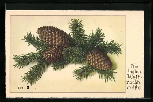 Künstler-AK Tannenzweige mit Tannenzapfen zu Weihnachten