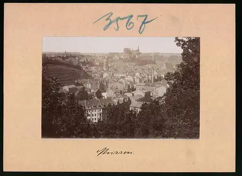 Fotografie Brück & Sohn Meissen, Ansicht Meissen i. Sa., Blick auf die Stadt vom Plossenberg