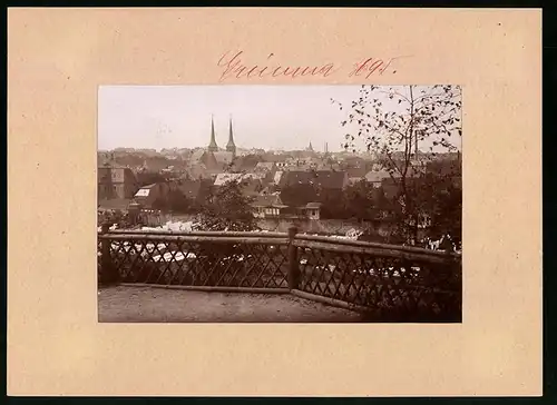 Fotografie Brück & Sohn Meissen, Ansicht Grimma, Blick vom Stadtwald auf die Stadt