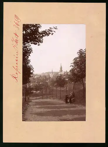 Fotografie Brück & Sohn Meissen, Ansicht Rosswein, Blick nach der Stadt vom Hartenberge aus gesehen
