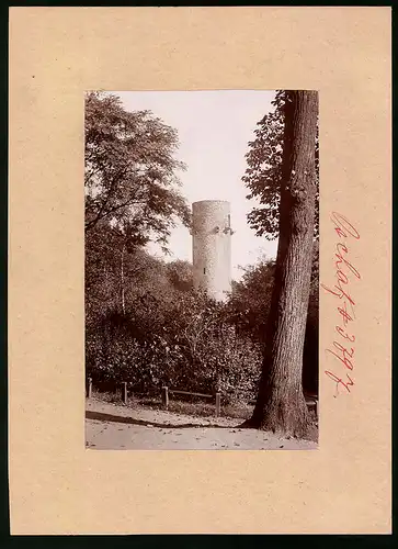 Fotografie Brück & Sohn Meissen, Ansicht Oschatz, Partie an der Promenade am Stadtturm
