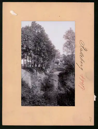 Fotografie Brück & Sohn Meissen, Ansicht Radeberg, Röderpartie mit Blick in den Ort