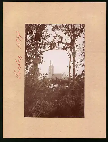 Fotografie Brück & Sohn Meissen, Ansicht Oschatz, Blick aus dem Stadtpark zum Dom