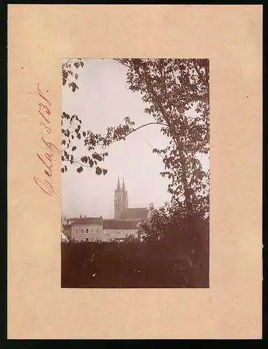 Fotografie Brück & Sohn Meissen, Ansicht Oschatz, Blick vom Stadtwald auf den Dom
