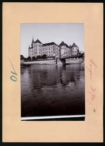 Fotografie Brück & Sohn Meissen, Ansicht Torgau / Elbe, Blick auf das Schloss Hartenfels und Elbebrücke