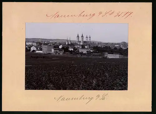 Fotografie Brück & Sohn Meissen, Ansicht Naumburg a. Saale, Blick auf die Stadt mit Dom