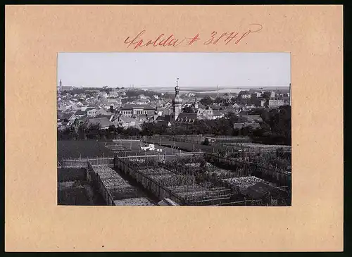 Fotografie Brück & Sohn Meissen, Ansicht Apolda, Blick von den Feldern auf die Stadt mit Kirchturm