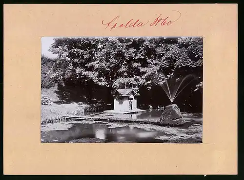 Fotografie Brück & Sohn Meissen, Ansicht Apolda, Partie in den Anlagen mit Entenhäuschen im Teich