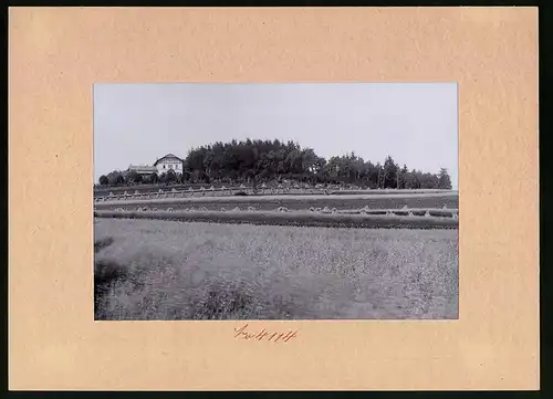 Fotografie Brück & Sohn Meissen, Ansicht Kamenz i. Sa., Blick auf den Hutberg von Osten gesehen