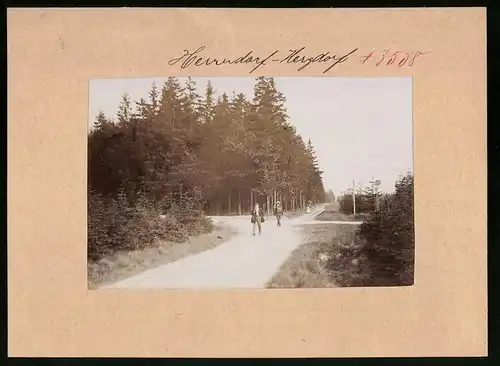 Fotografie Brück & Sohn Meissen, Ansicht Herrndorf-Hetzdorf, Partie an der Wanderung Schneise 16