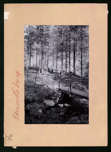 Fotografie Brück & Sohn Meissen, Ansicht Oberwartha, Partie im Tännichtgrund mit Holzbrücke