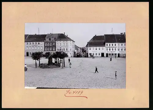 Fotografie Brück & Sohn Meissen, Ansicht Bischofswerda, Markt & Bahnhofstrasse, Laden von Reinhold Kneschke & Apotheke