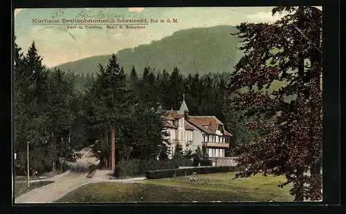 AK Breitenbrunnen i. Schwarzwald, Ortsansicht mit Kurhaus