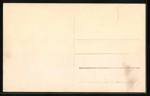 AK Zittau, Teilansicht