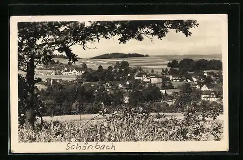 AK Schönbach /Oberlausitz, Teilansicht