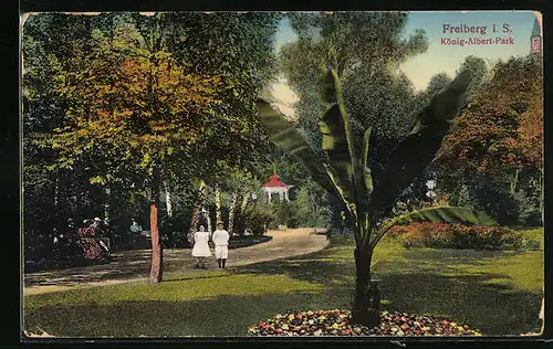 AK Freiberg /Sa., Partie im König-Albert-Park