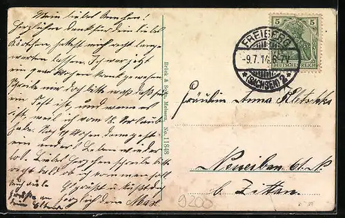 AK Freiberg /Sa., Partie im König-Albert-Park