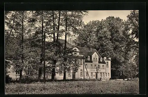 AK Waldenburg /Sa., Gasthof Grünfeld im Grünfelder Park