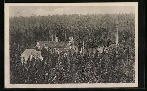 AK Reiboldsgrün i. V., Heilstätte Carolagrün aus der Vogelschau