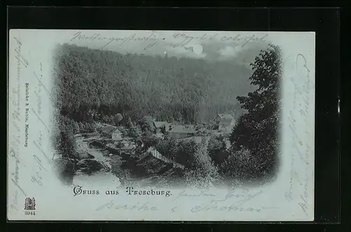 Mondschein-AK Treseburg, Ortsansicht