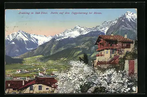 AK Meran, Partie auf dem Tappeinerweg im Frühling