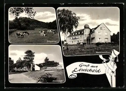 AK Leuscheid, Ortspartie mit weidenden Rindern, Hotel Waldesruh, Westerwaldhaus