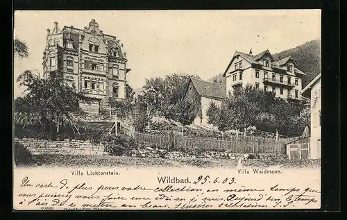 AK Wildbad, Hotel-Pensionen Villa Lichtenstein und Villa Waidmann