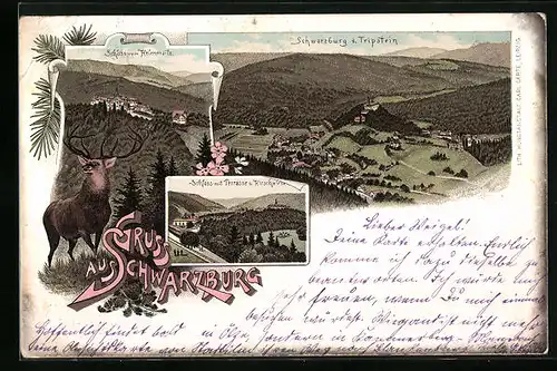 Lithographie Schwarzburg, Teilansicht vom Tripstein, Schloss vom Helenensitz, Schloss mit Terrasse und Hirschwiese