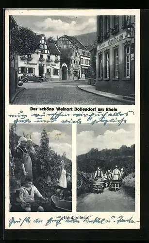 AK Dollendorf am Rhein, Gasthaus, Winzerverein, Weinlese