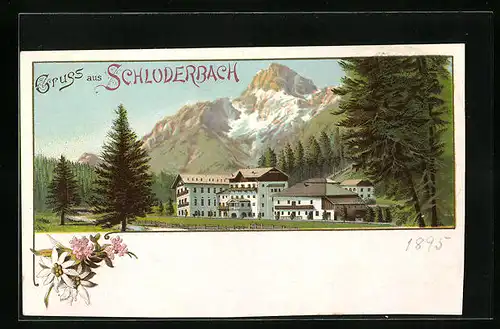 AK Schloderbach, Ortsansicht mit Tannen und Berggipfel