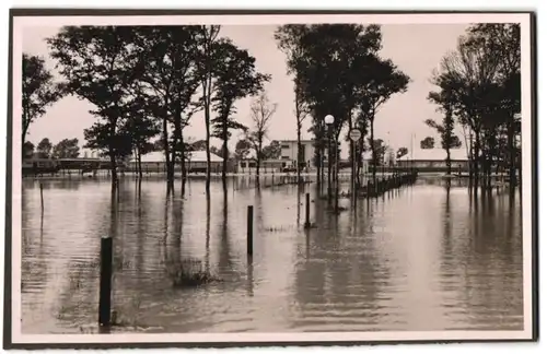 39 Fotografien Bademode, Ansicht Karlsruhe, Rheinstrandbad Rappenwört, Sport, Tischtennis, Strassenbahn, Hochwasser Boxen