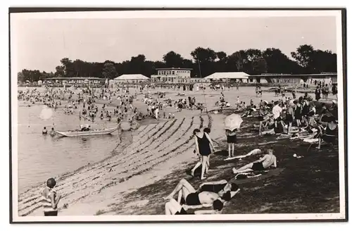 39 Fotografien Bademode, Ansicht Karlsruhe, Rheinstrandbad Rappenwört, Sport, Tischtennis, Strassenbahn, Hochwasser Boxen