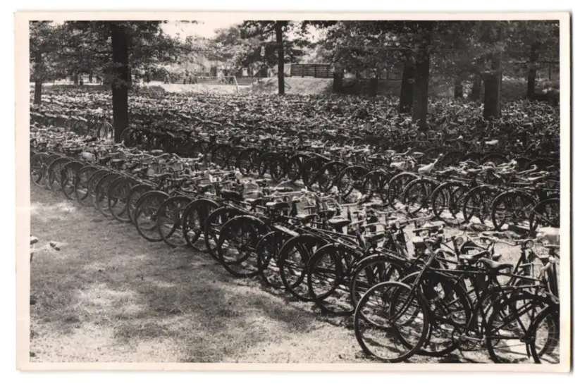 39 Fotografien Bademode, Ansicht Karlsruhe, Rheinstrandbad Rappenwört, Sport, Tischtennis, Strassenbahn, Hochwasser Boxen 3