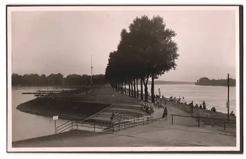 39 Fotografien Bademode, Ansicht Karlsruhe, Rheinstrandbad Rappenwört, Sport, Tischtennis, Strassenbahn, Hochwasser Boxen