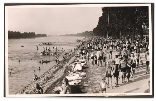 39 Fotografien Bademode, Ansicht Karlsruhe, Rheinstrandbad Rappenwört, Sport, Tischtennis, Strassenbahn, Hochwasser Boxen