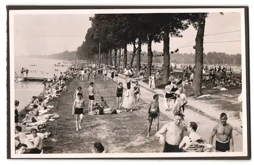 39 Fotografien Bademode, Ansicht Karlsruhe, Rheinstrandbad Rappenwört, Sport, Tischtennis, Strassenbahn, Hochwasser Boxen