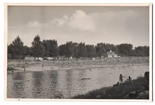 39 Fotografien Bademode, Ansicht Karlsruhe, Rheinstrandbad Rappenwört, Sport, Tischtennis, Strassenbahn, Hochwasser Boxen