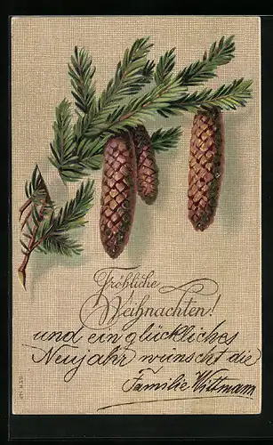 Präge-AK Fröhliche Weihnachten, Tannenzweig mit Tannenzapfen