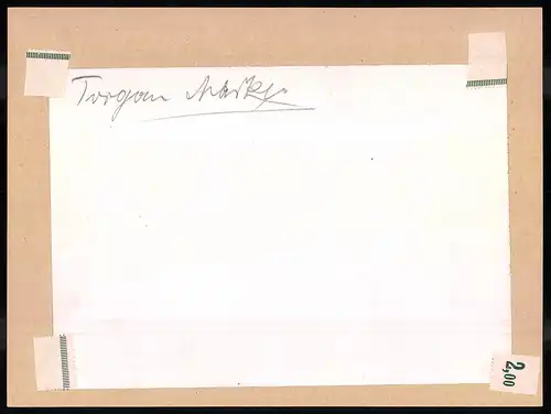 Fotografie Brück & Sohn Meissen, Ansicht Torgau, Marktplatz mit Textilwarenladen Hermann Stockmann