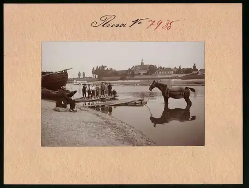 Fotografie Brück & Sohn Meissen, Ansicht Riesa, Elbblick nach Promnitz, Kinder - und Pferdewäsche