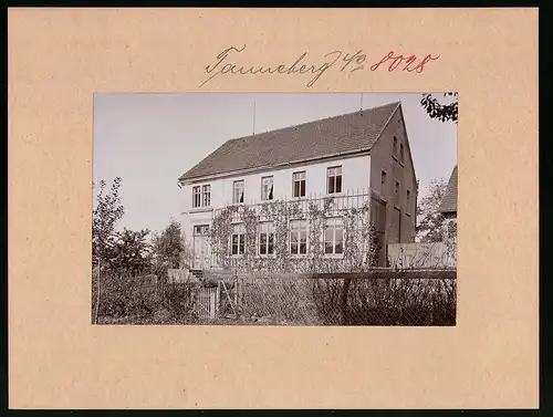 Fotografie Brück & Sohn Meissen, Ansicht Tanneberg, Schule, Schulhaus