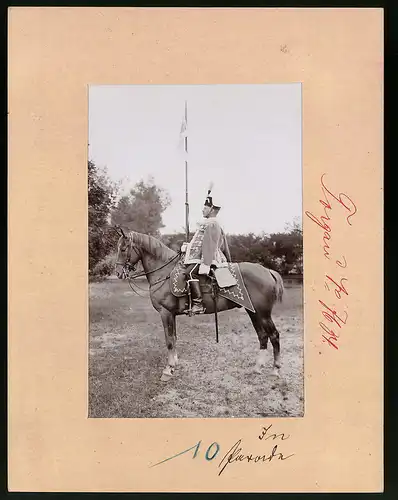 Fotografie Brück & Sohn Meissen, Ansicht Torgau, Thüringisches Husaren-Regiment Nr. 12, Husar zu Pferd in Paradeuniform