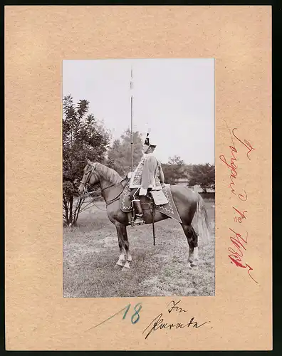 Fotografie Brück & Sohn Meissen, Ansicht Torgau, Thüringisches Husaren-Regiment Nr. 12, Husar in Uniform zu Pferd